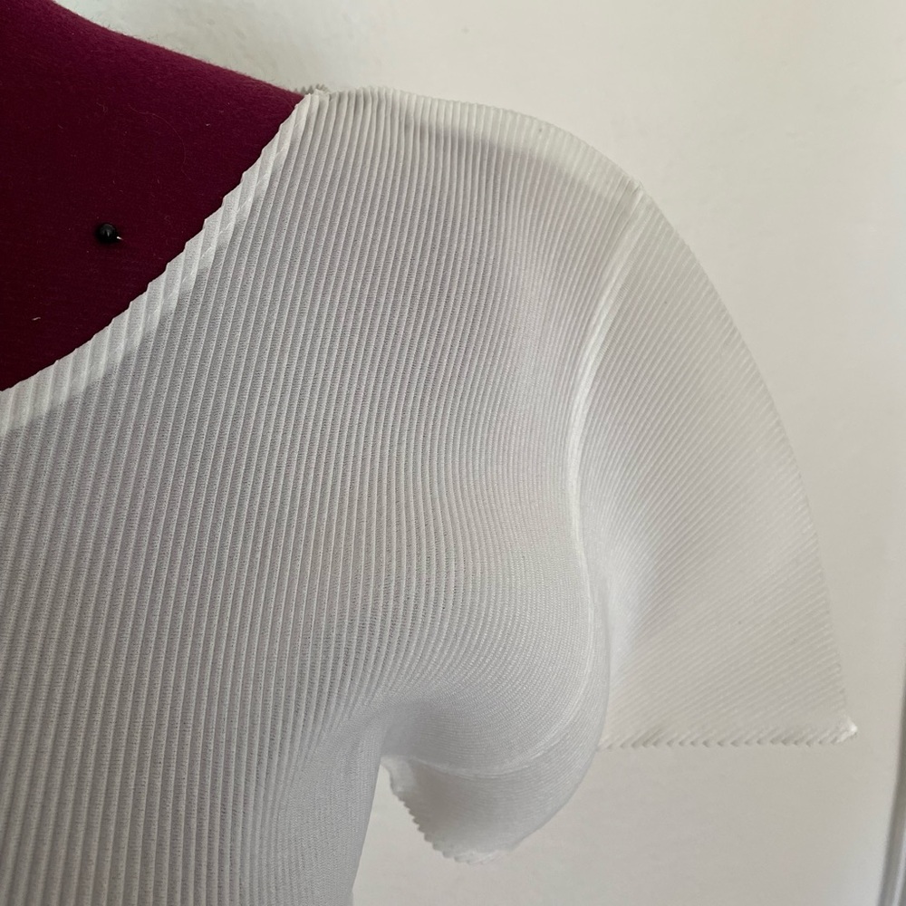 Iconic Pleats Please top